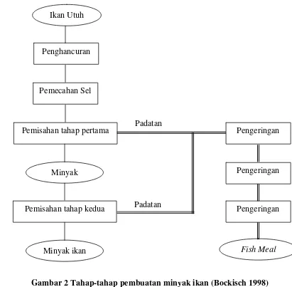 Gambar 2 Tahap-tahap pembuatan minyak ikan (Bockisch 1998) 