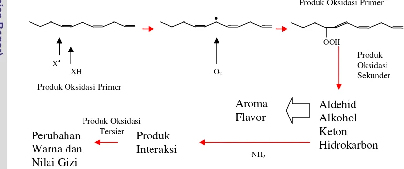 Gambar 4 Proses oksidasi asam lemak tak jenuh pada ikan 