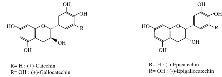 Gambar 7 Struktur flavonoid yang terkandung dalam biji anggur  (Shi et al. 2003) 