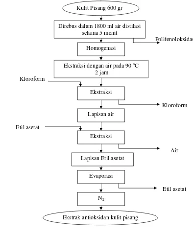 Gambar 8 Diagram proses ekstraksi antioksidan kulit pisang 