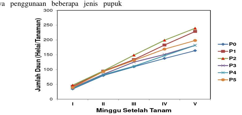 Gambar 2. Grafik Jumlah Daun Tanaman Kacang Tanah Selama Pengamatan. 