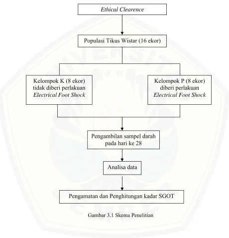 Gambar 3.1 Skema Penelitian