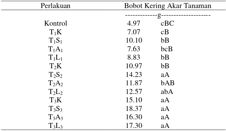 Tabel 6. Pengaruh Pemberian Campuran Abu Tulang Sapi dengan Beberapa     Asam Organik terhadap Bobot Kering Akar Tanaman 