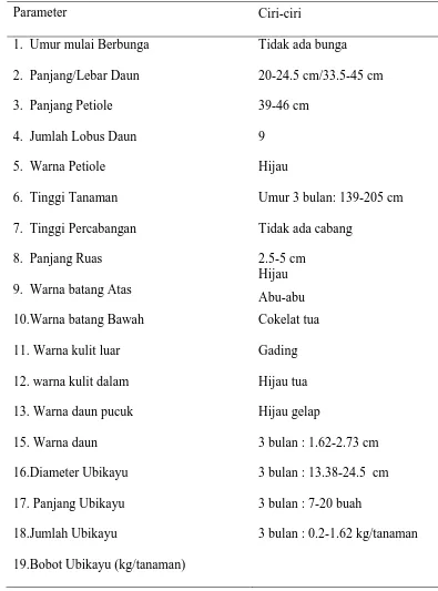 Tabel 3. Identifikasi karakter Ubikayu Malaysia umur 3 bulan 