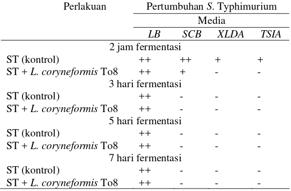 Tabel 4 Pengaruh aplikasi L. coryneformis To8 terhadap pertumbuhan Salmonella Typhimurium selama fermentasi biji kakao  