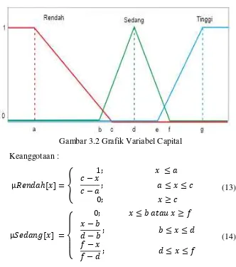 Tabel 3.2 Domain Variabel Capital 