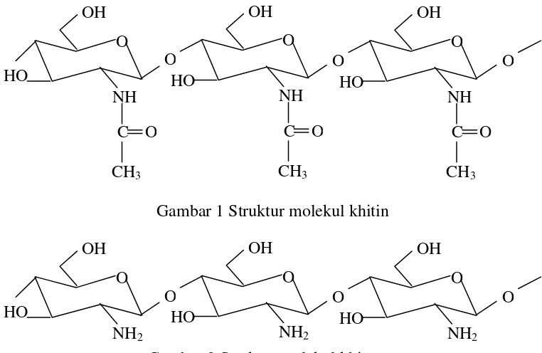 Gambar 2 Struktur molekul khitosan 