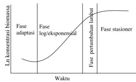 Gambar 6. Kurva pertumbuhan mikroba. 