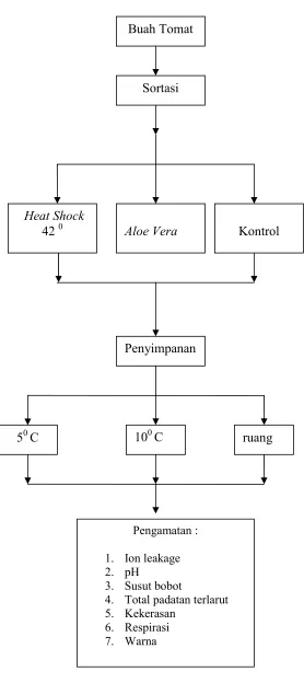 Gambar 5. Prosedur penelitian 