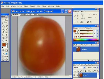 Gambar 6.  Adobe Image Ready untuk nilai R, G B. 