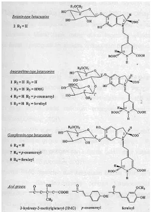 Gambar 3  Struktur kimia komponen gomphrenin dan isogomphrenin (Cai et al 2001). 