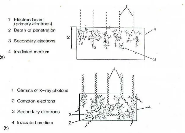 Gambar 8.  Interaksi radiasi dengan materi a) Radiasi elektron;               b) Radiasi sinar gamma atau X (Diehl 1995)