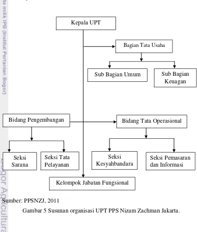 Gambar 5 Susunan organisasi UPT PPS Nizam Zachman Jakarta. 