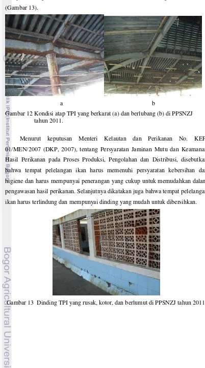 Gambar 12 Kondisi atap TPI yang berkarat (a) dan berlubang (b) di PPSNZJ 