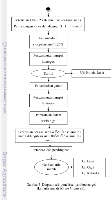 Gambar 3  Diagram alir penelitian pembuatan gel  