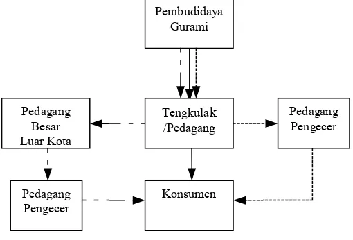 Gambar 1 Saluran Pemasaran Ikan Gurami di Desa Semboro 