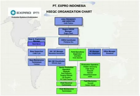 Gambar 4.3 Struktur Organisasi Departemen HSE PT. Expro Indonesia