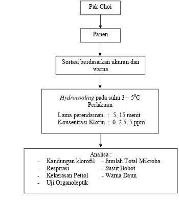Gambar 3.  Bagan alir penelitian tahap I (Pengaruh hydrocooling dan klorin terhadap mutu Pak Choi) 