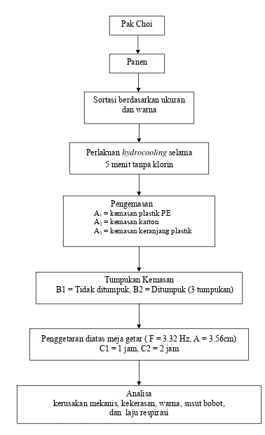 Gambar 9.  Bagan alir penelitian tahap II (Pengaruh pra Pengemasan dan Pengemasan terhadap Mutu Pak Choi) 