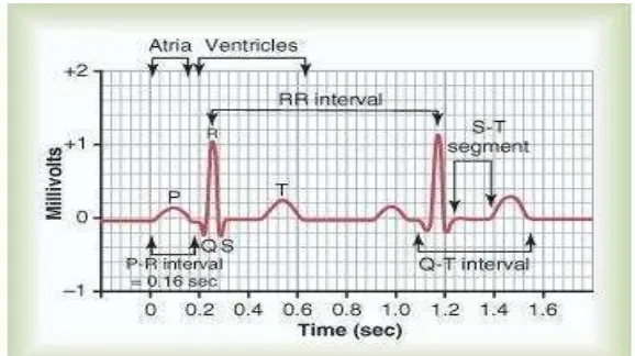 Tabel 1  Denyut jantung (denyut per menit) dan durasi (milidetik) P, PR, QRS, 