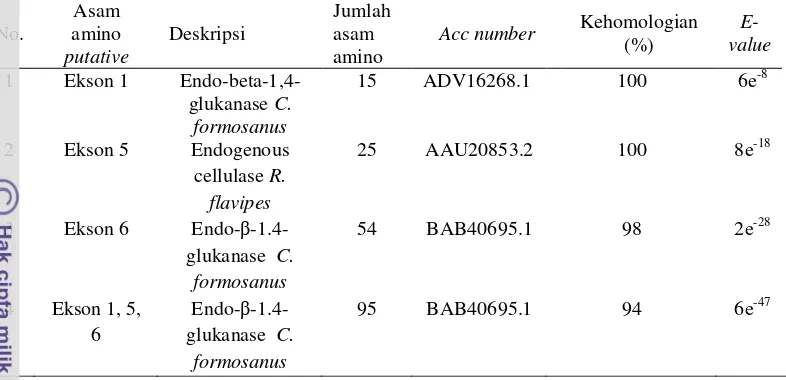 Tabel 6 Hasil analisis homologi berdasarkan asam amino putative (BLAST P) ekson 1, 5 dan 6 gen endo-β-1,4-glukanase rayap C