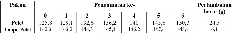 Tabel 3. Berat rata-rata ikan jurung (Tor  tambra)  selama pemeliharaan     12 minggu  