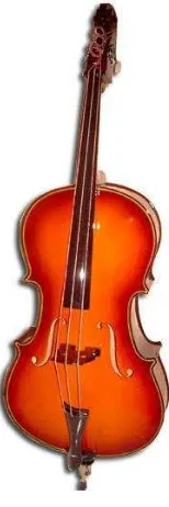 Gambar 10. Instrumen cello kendang 