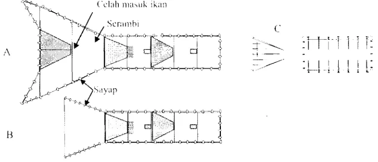 Gambar 1, lIustrasi (dari atas)  fyke net  dengan serambi (A),  tanpa serambi (B), rigi­rigi (C)  1, Illustration (top view) of fyke net with chamber (A),  without chamber (8). frame (C)  