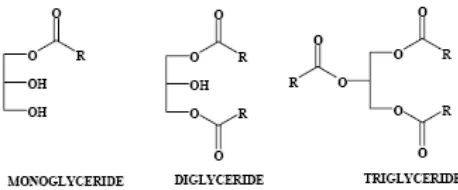Gambar 1. Struktur molekul gliserida. 