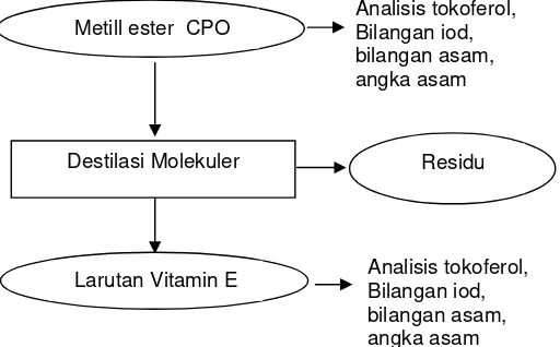 Gambar 9.  Diagram alir tahapan separasi Vitamin E. 
