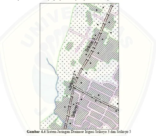 Gambar 4.4 Sistem Jaringan Drainase Irigasi Srikoyo 3 dan Srikoyo 5 