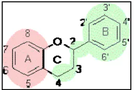 Gambar 2 Struktur dasar flavonoid 