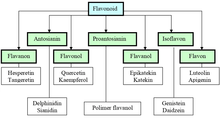 Gambar 3 Penggolongan flavonoid dalam bahan pangan, sebagai bagian polifenol dalam tanaman (Murphy et al 2003)  