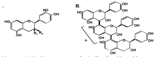 Gambar 4 Struktur kimia monomer dan oligomer flavonoid kakao 
