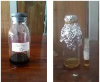 Gambar 1. Minyak cengkeh dengan pelarut etanol (a) dan dengan pelarut n-heksana (b).  