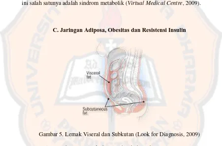 Gambar 5. Lemak Viseral dan Subkutan (Look for Diagnosis, 2009)