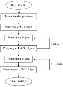 Gambar 13  Pengeringan vanili standar (metode Balitro II). 