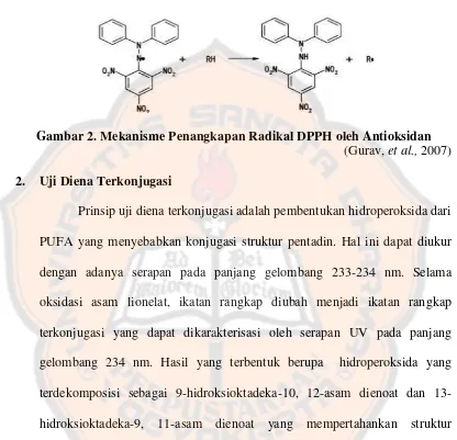Gambar 2. Mekanisme Penangkapan Radikal DPPH oleh Antioksidan 