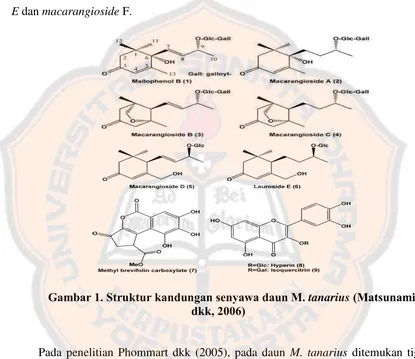 Gambar 1. Struktur kandungan senyawa daun M. tanarius (Matsunami dkk, 2006) 