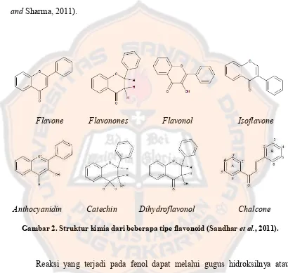 Gambar 2. Struktur kimia dari beberapa tipe flavonoid (Sandhar et al., 2011). 