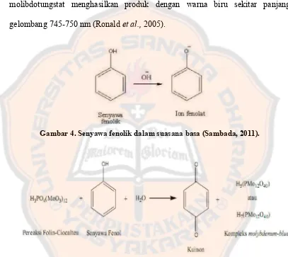 Gambar 5. Reaksi senyawa fenolik dengan pereaksi Folin. Reaksi senyawa fenolik dengan pereaksi Folin-Ciocalteu (Sambada, 2011)