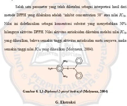 Gambar 6. 1,1-Diphenyl-2-picryl hydrazyl (Molyneux, 2004) 