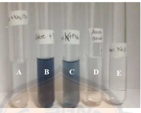 Gambar 7. Hasil uji pendahuluan keberadaan senyawa fenolik (A = kontrol negatif 