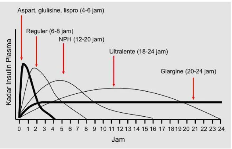 Gambar 2.1 Profil farmakokinetik insulin (Hirsch, 2005 dalam PB-PABDI, 2013) 
