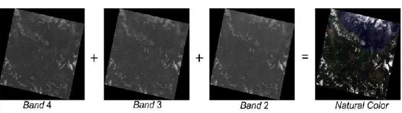 Gambar 1. Kombinasi band citra Landsat 8