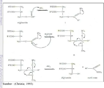 Gambar 5.  Reaksi esterifikasi trigliserida dengan BF3 metanol  