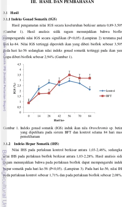 Gambar 1. Indeks gonad somatik (IGS) induk ikan nila Oreochromis sp. betina  