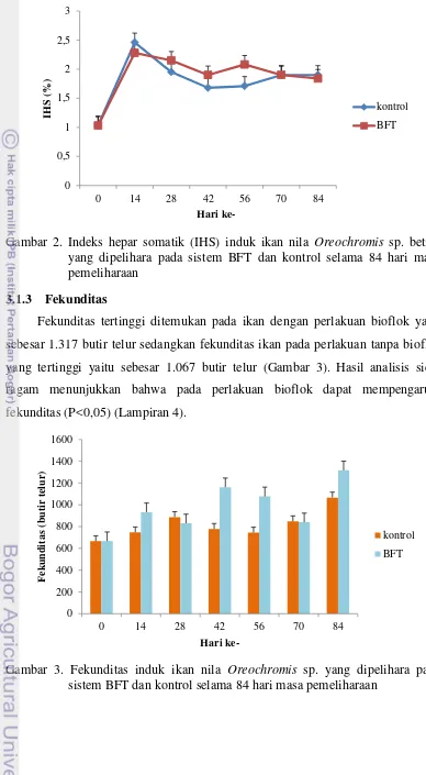 Gambar 2. Indeks hepar somatik (IHS) induk ikan nila Oreochromis sp. betina 