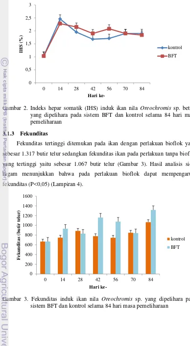 Kinerja Reproduksi Ikan Nila Oreochromis Niloticus Pada Media Bioflok