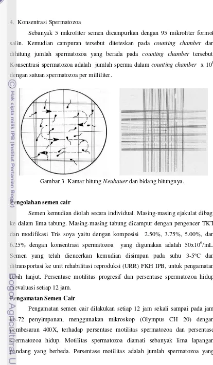 Gambar 3  Kamar hitung Neubauer dan bidang hitungnya. 